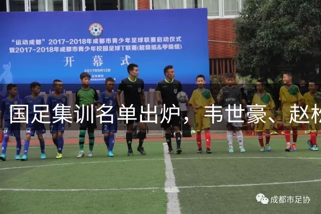 国足集训名单出炉，韦世豪、赵松源入选